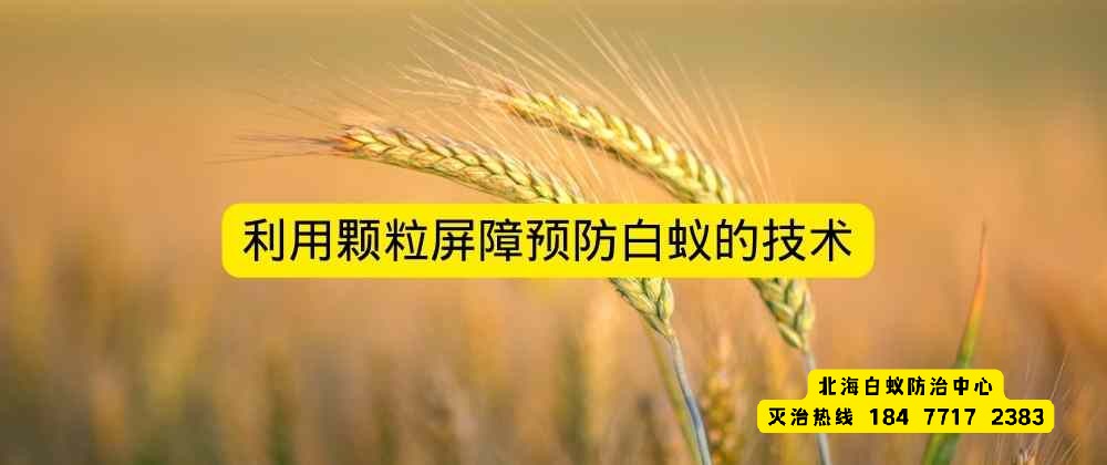 利用颗粒屏障预防白蚁的技术.jpg